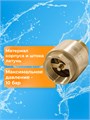 Обратный клапан FV-D 1.5" латунь / внеш резьба BELFV-D1.5 - фото 22851 Обратный клапан FV-D 1.5" латунь / внеш резьба BELFV-D1.5 - фото 22851