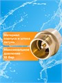 Обратный клапан Belamos  FV-D 1-1/4" латунь, внешн.резьба БЕЛАМОС 22099 - фото 22865